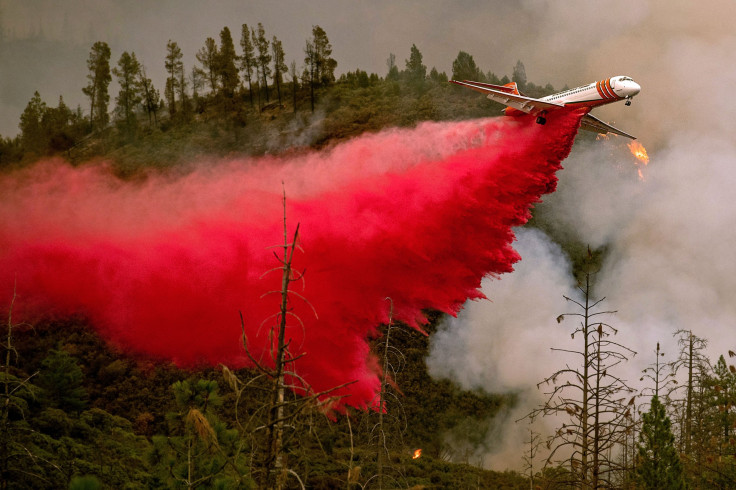 Ferguson Fire 