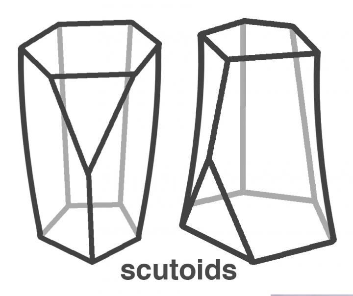 Scutoids