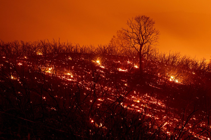 Mendocino Fire 