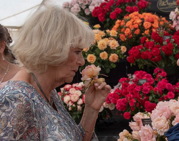 Camilla Parker Bowles