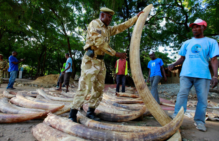 World Elephant Day