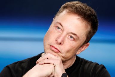 Elon Musk (2)
