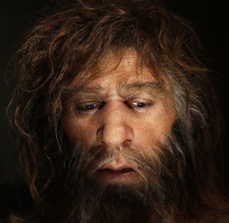 Neanderthal 