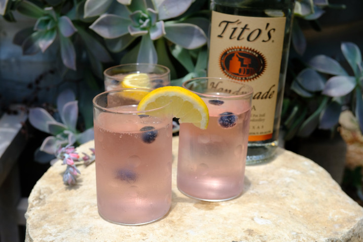 Blueberry Lemon Spritzer 1