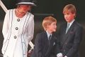 Princess Diana, Princes Harry and William