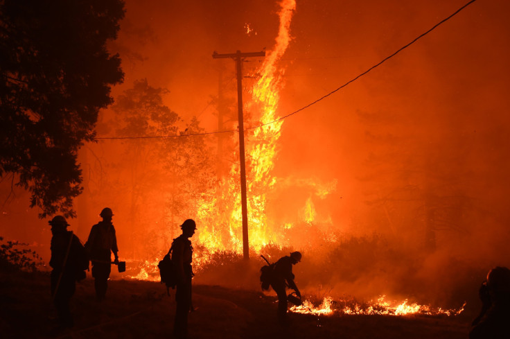 Wildfire