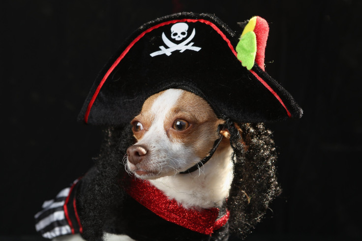 Pirate 