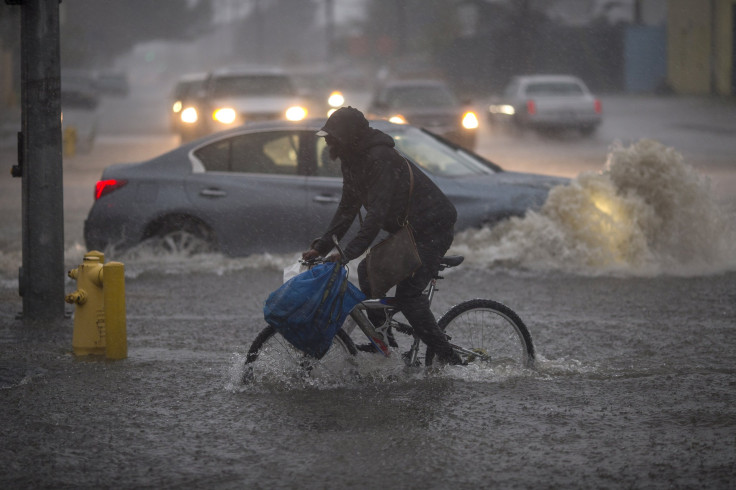 Storm Causes Significant Damage Across Minnesota 