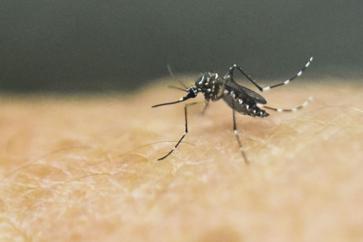 Boy Diagnosed With Incurable Mosquito-Borne Virus 