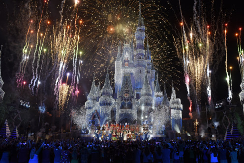Disney Parks Castle Lighting