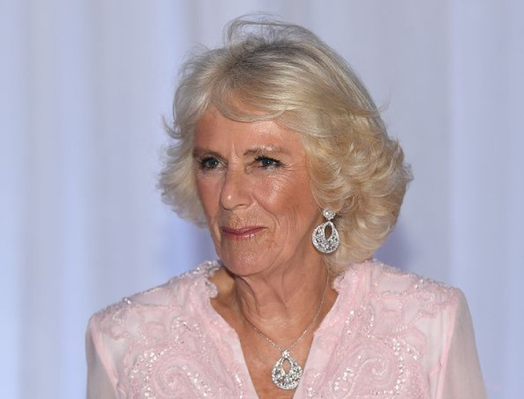 Camilla Parker Bowles 'Wasn't A Beauty' But A 'Boy Magnet', Author Claims