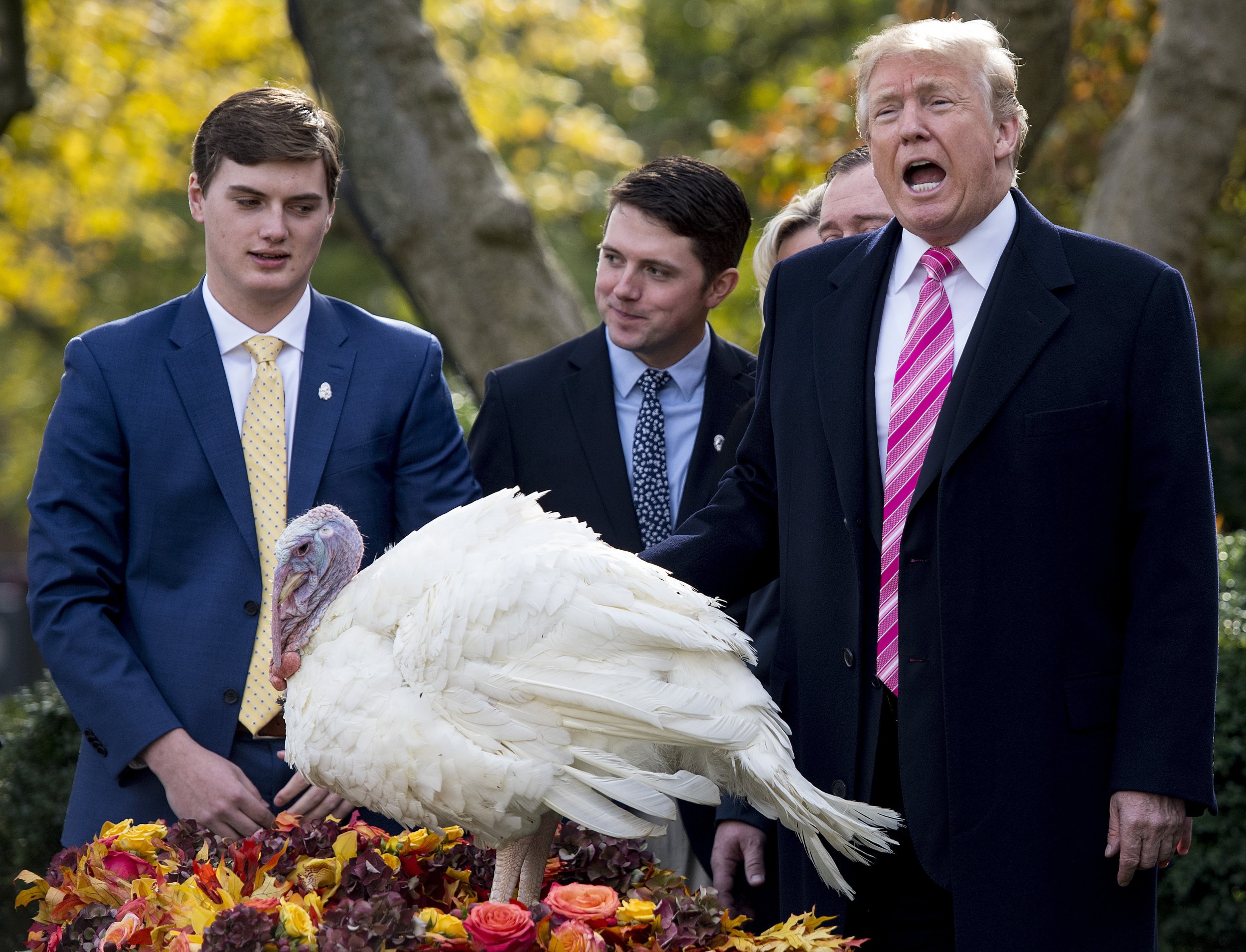 Thanksgiving Presidential Turkey Pardon Facts About Two Birds Before White House Vote