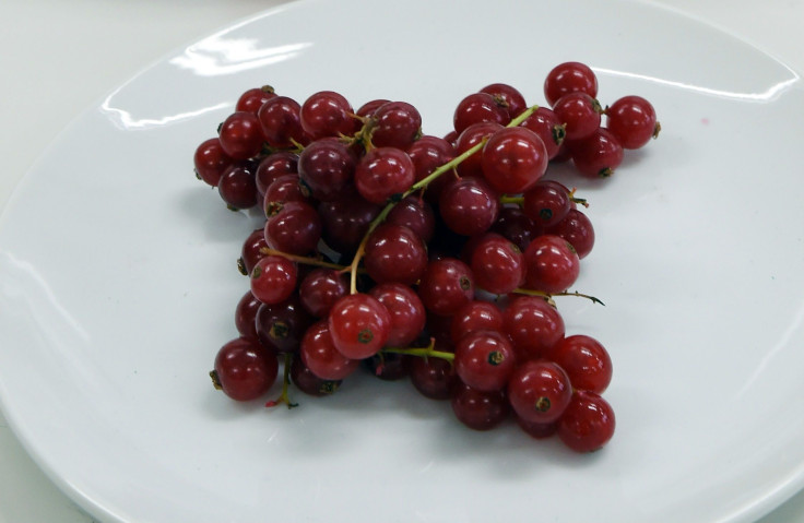 cranberry bread recipe