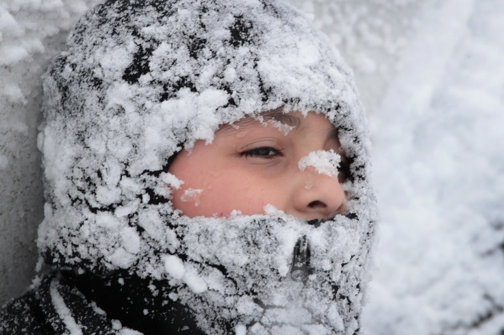 Winter Storm