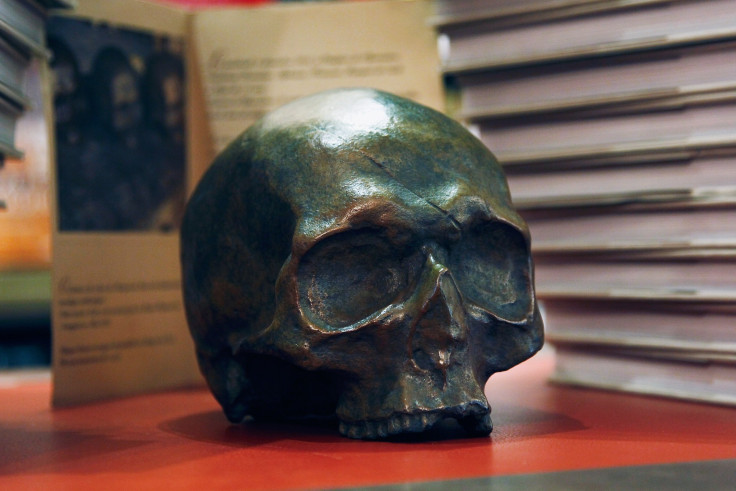 skull 