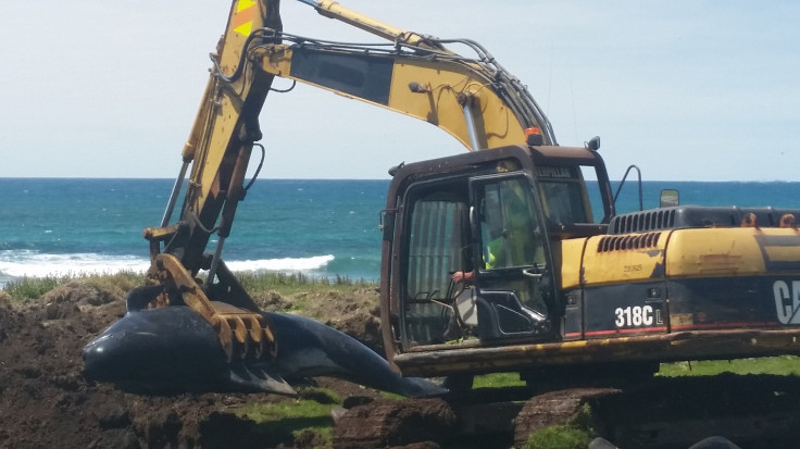 Chatham Islands 