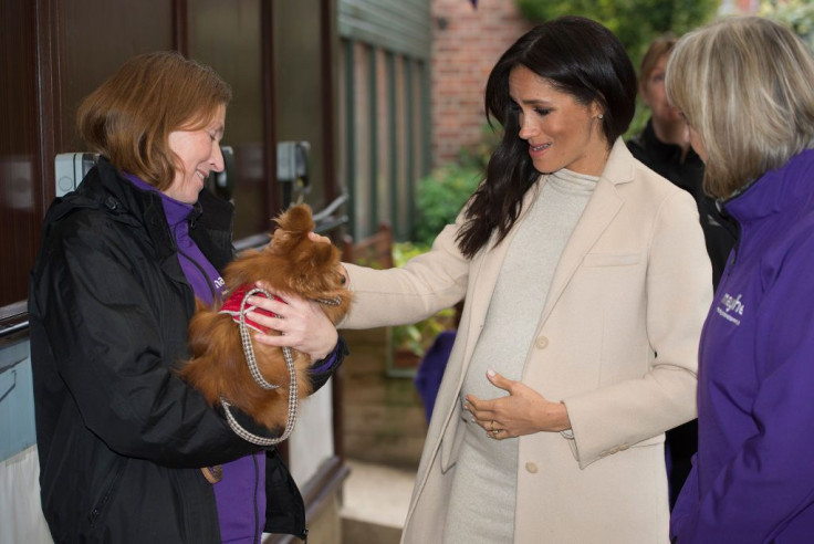 meghan markle animal charity