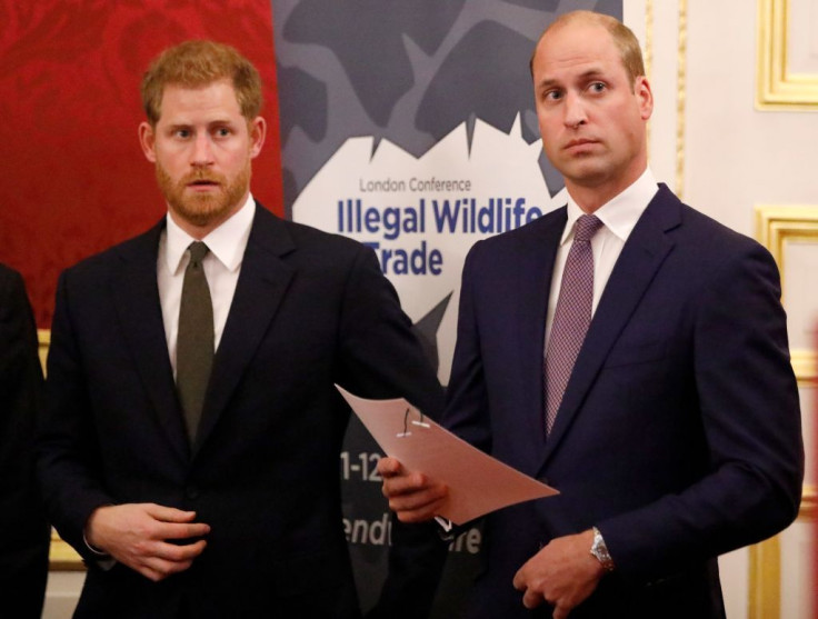 Prince Harry and Prince William 