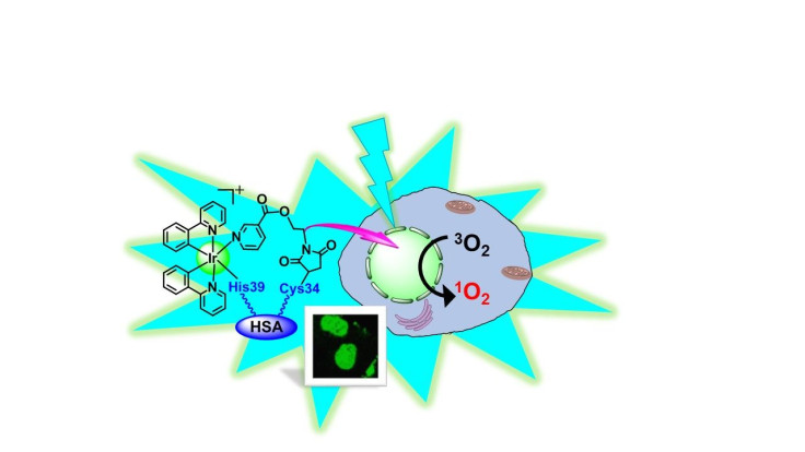 Iridium Albumin Compound