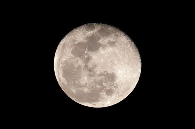The Moon May Be A Mini-Earth