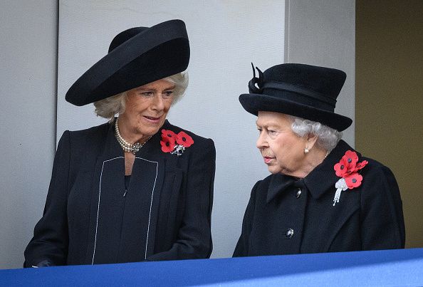 Camilla Parker Bowles, Queen Elizabeth's Relationship Revisited Amid ...