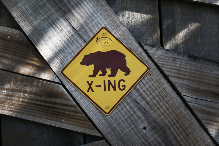 Bear Crossing sign in Florida