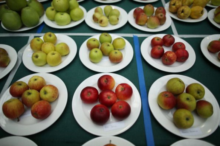 Plates of Fruit