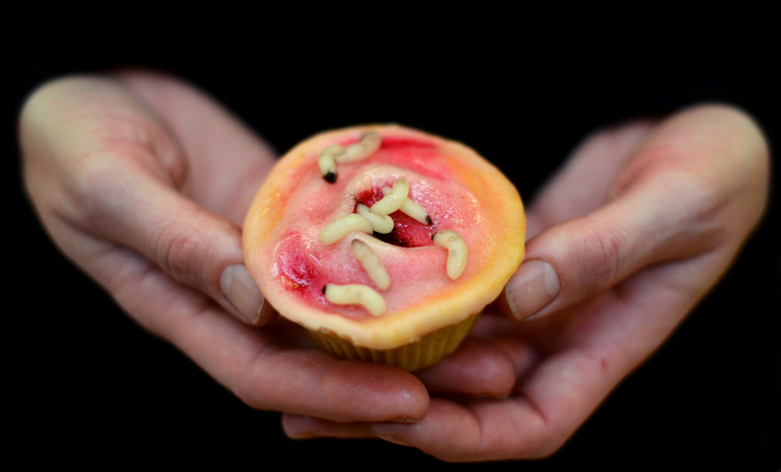 Maggots Found In Aged Care Resident’s Head Wound | IBTimes