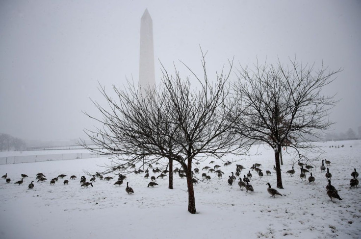 Bomb Cyclone