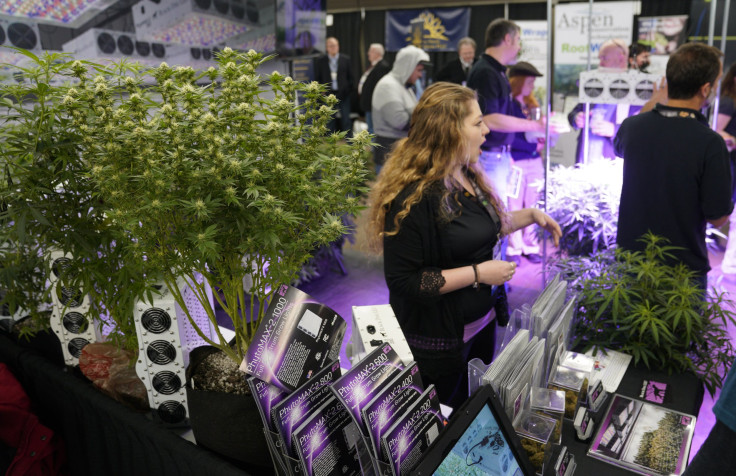 Cannabis Trade Show