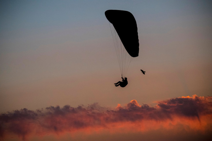 Paraglider