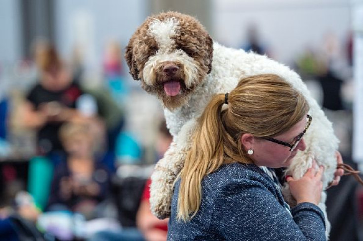 Woman carries pet dog