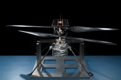 Portrait of NASA's Mars Helicopter