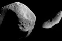 Two Very Different Asteroids