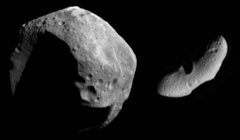 Two Very Different Asteroids