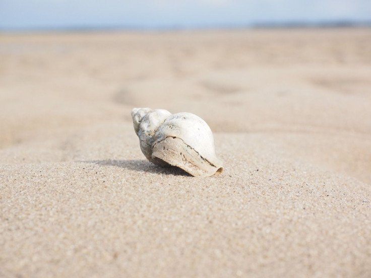 Sand on the beach