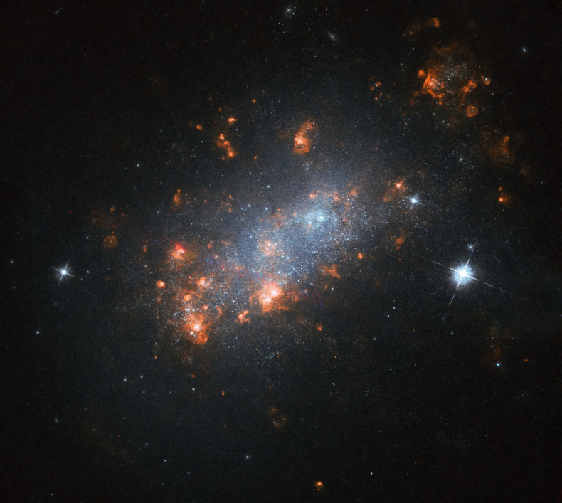 NGC 1156