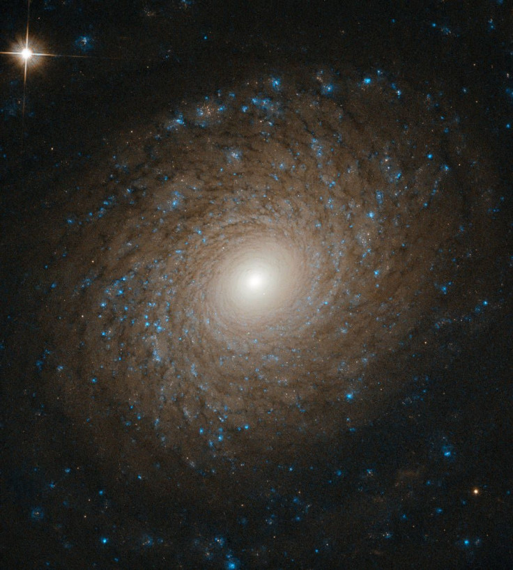 NGC 2985
