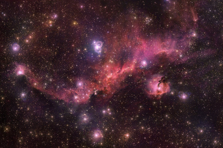 Seagull Nebula