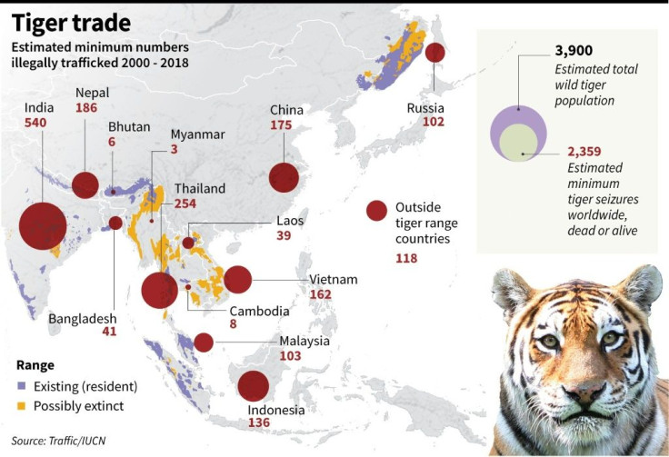 Graphic on tigers seized from illegal trafficking 2000 - 2018