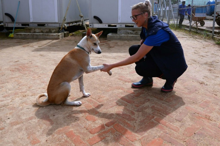 Foxtrot's account posts regular updates on his activities around the camps