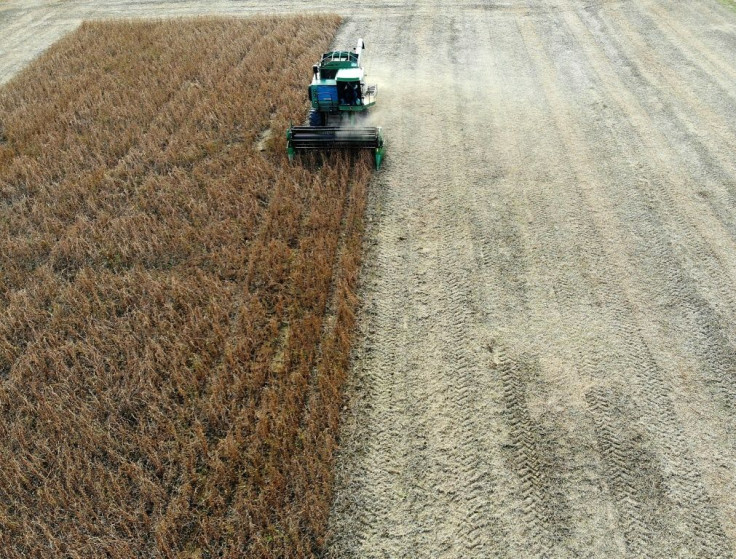 US soybeans like these being harvested in the state of Maryland are among products hit by Chinese tariffs