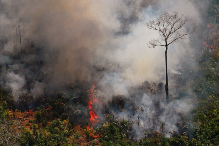 Aerial picture showing a fire raging in the Amazon rainforest about 65 km from Porto Velho, in the state of Rondonia, in northern Brazil, on August 23, 2019