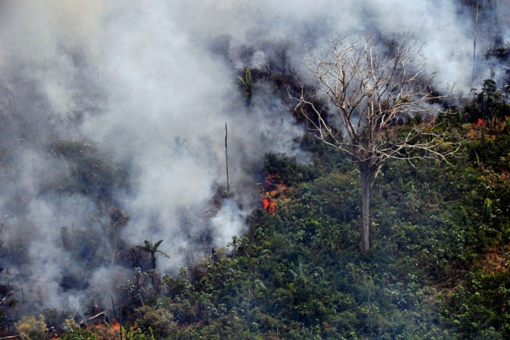 A piece of land burns in the Amazon rainforest, about 65 kilometres from Porto Velho in northern Brazil's Rondonia state, on August 23, 2019