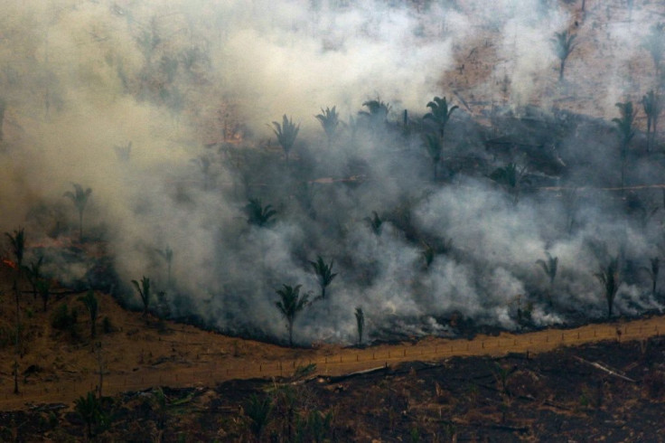 Aerial view showing smoke billowing from a patch of forest being cleared with fire in the surroundings of Boca do Acre, a city in Amazonas State, in northwestern Brazil, on August 24, 2019