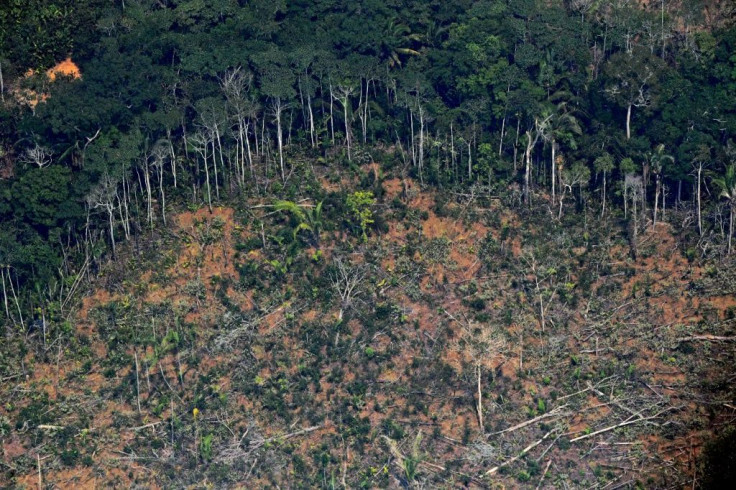 A deforested piece of land in the Amazon rainforest near an area affected by fires, about 65 km from Porto Velho, in the state of Rondonia, in northern Brazil, on August 23, 2019
