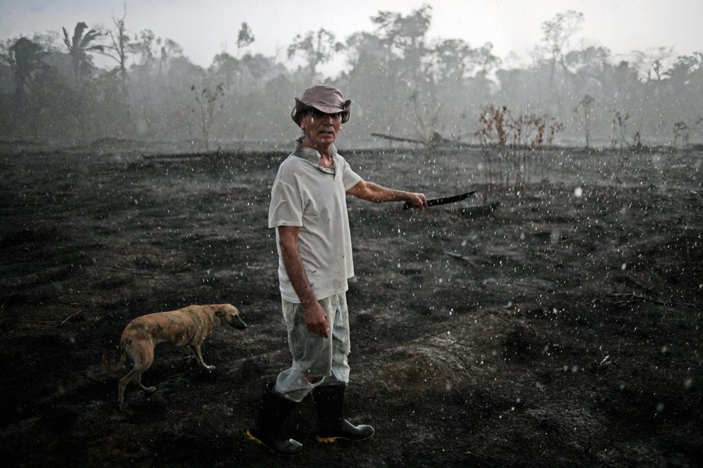 Revised Data Shows Deforestation In Brazil Amazon At Decade High Ibtimes 7551