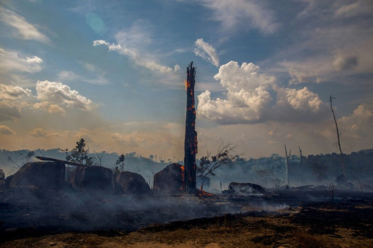 More than 1,600 new fires were ignited between Tuesday and Wednesday, taking this year's total to almost 85,000 -- the highest number since 2010, official data shows
