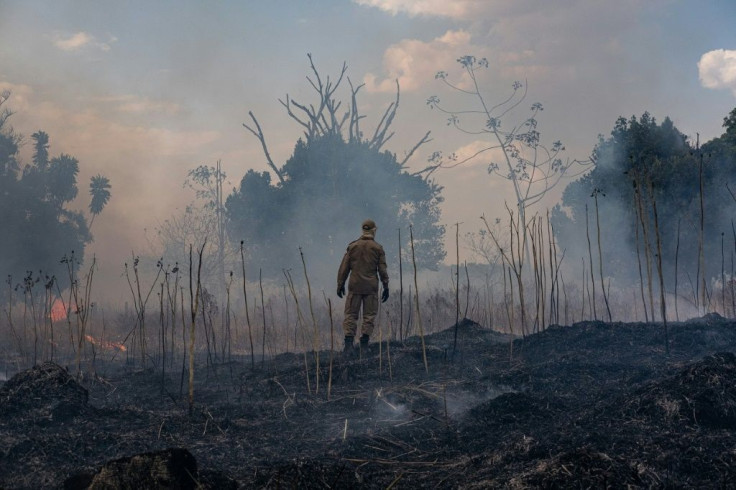 A firefighter surveys the devastation in Mato Grosso state, where 464 new fires were started on August 29 2019 -- a rise of 274 percent on the day before