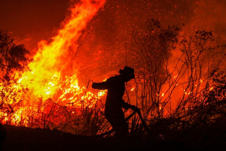 Indonesia's forest fires are an annual problem but have been worsened this year by particularly dry weather, and in recent days sent toxic smog floating over Malaysia and triggered a diplomatic row